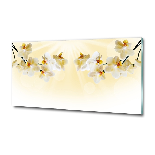 Bild auf glas Orchidee