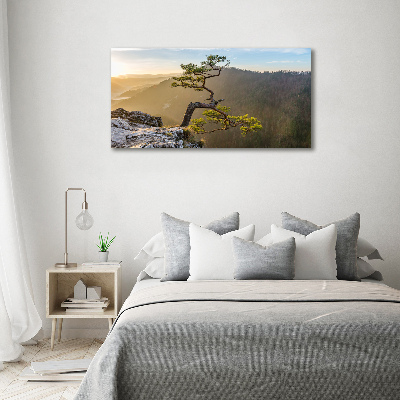 Glasbild Sokolica Pieniny