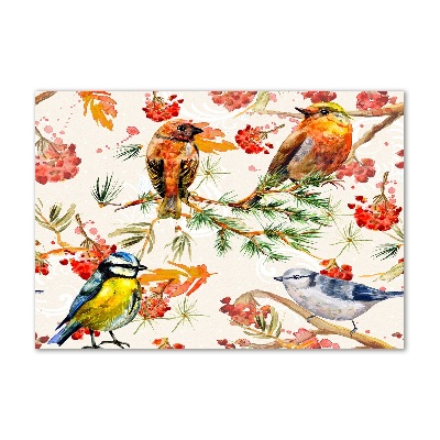 Foto glasbild Nadelbäume und Vögel