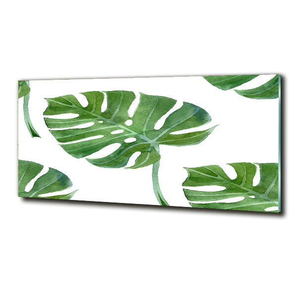 Bild auf glas Monstera