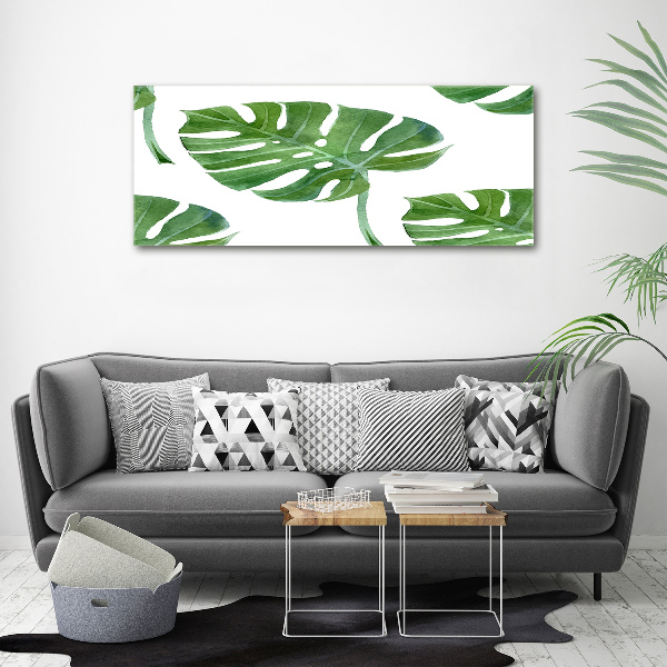Bild auf glas Monstera