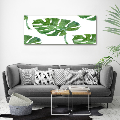 Bild auf glas Monstera