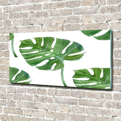 Bild auf glas Monstera