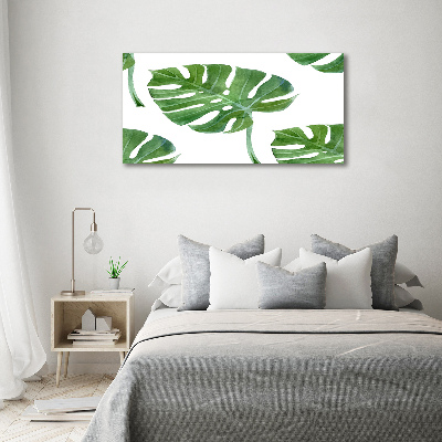 Bild auf glas Monstera