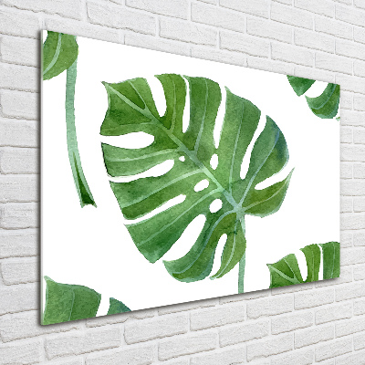Bild auf glas Monstera