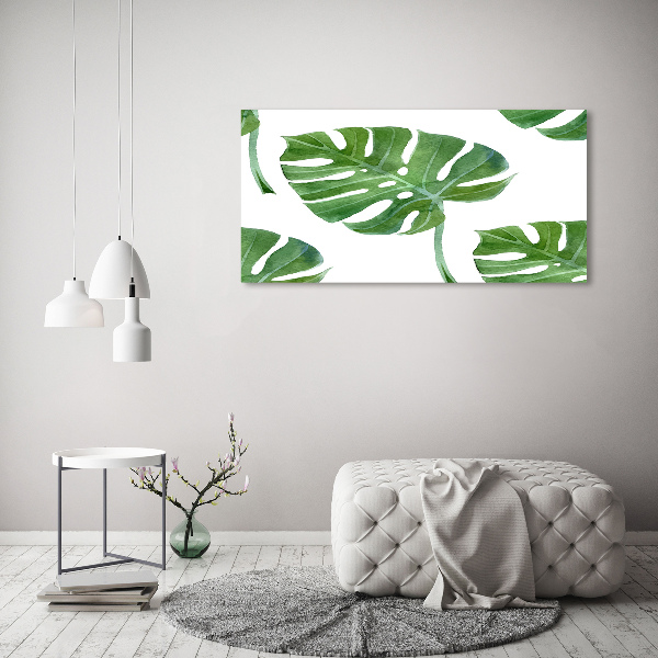 Bild auf glas Monstera