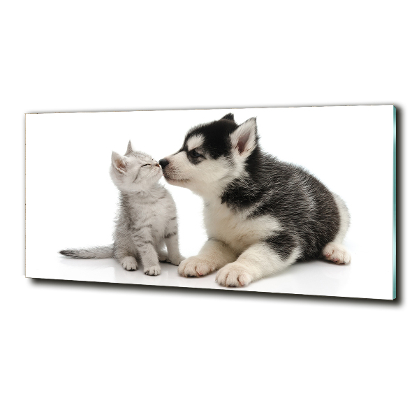 Glasbild Hund und Katze