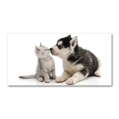Glasbild Hund und Katze