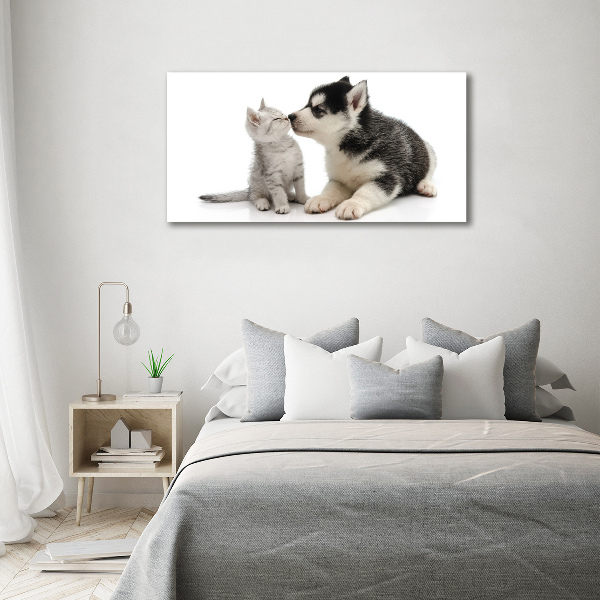 Glasbild Hund und Katze