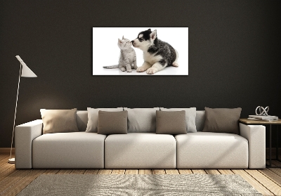 Glasbild Hund und Katze