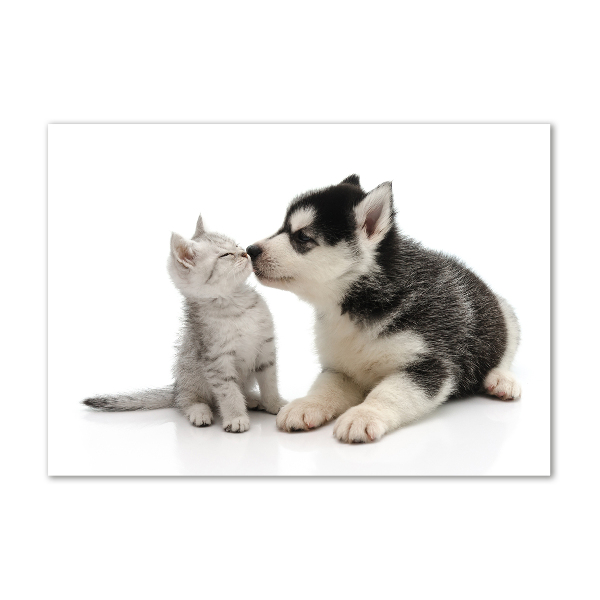 Glasbild Hund und Katze