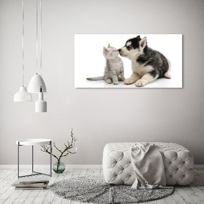 Glasbild Hund und Katze