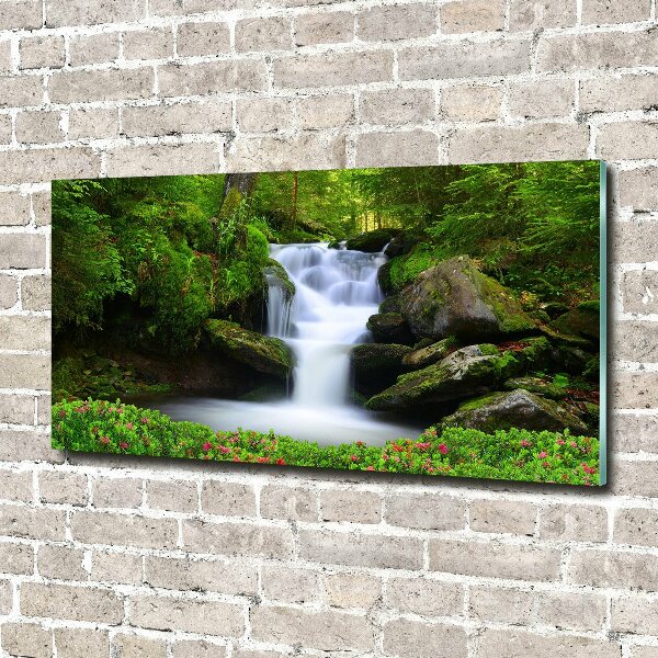 Bild auf glas Wasserfall im Wald