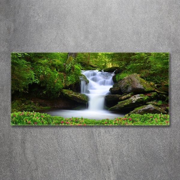 Bild auf glas Wasserfall im Wald