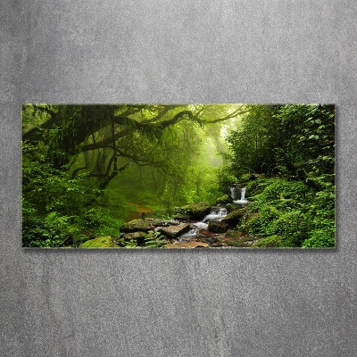 Glasbild Dschungel in Nepal