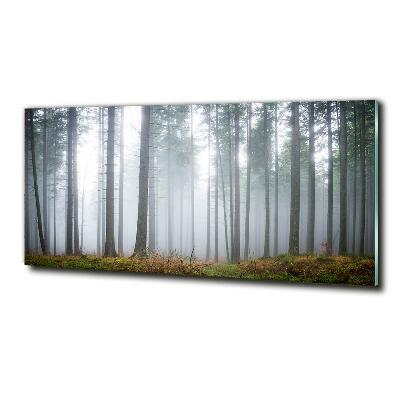 Foto glasbild Nebel im Wald