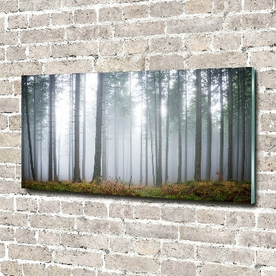 Foto glasbild Nebel im Wald