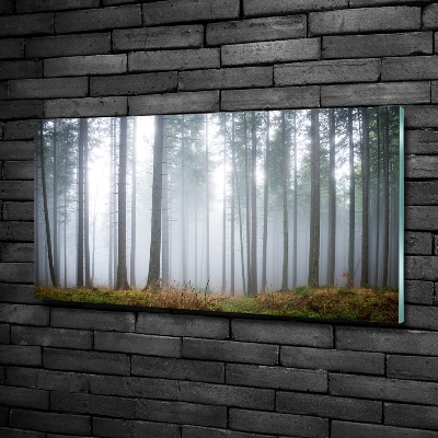 Foto glasbild Nebel im Wald
