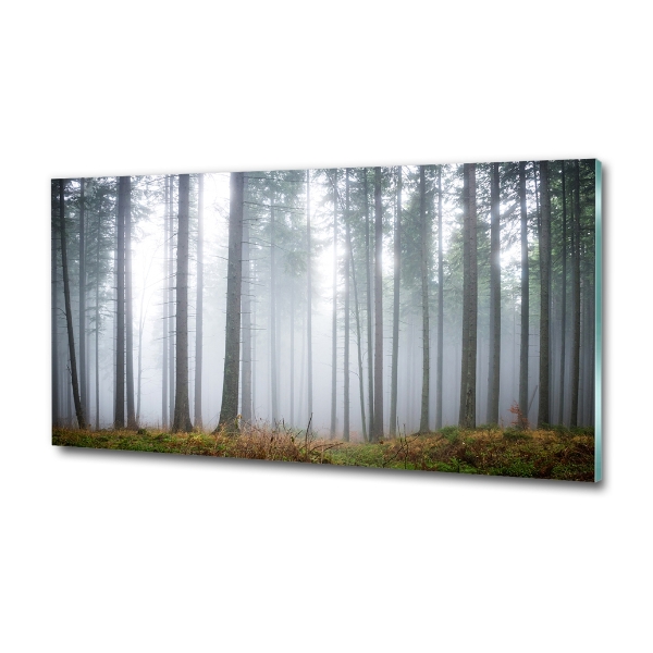 Foto glasbild Nebel im Wald
