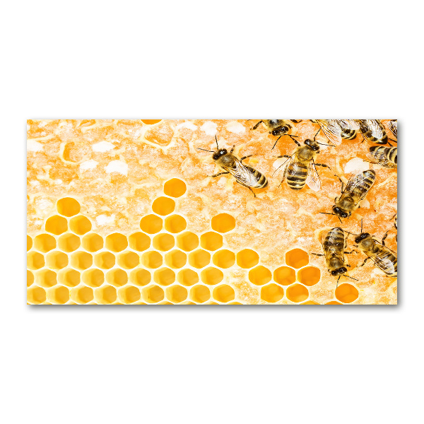 Glasbild Arbeitsbienen