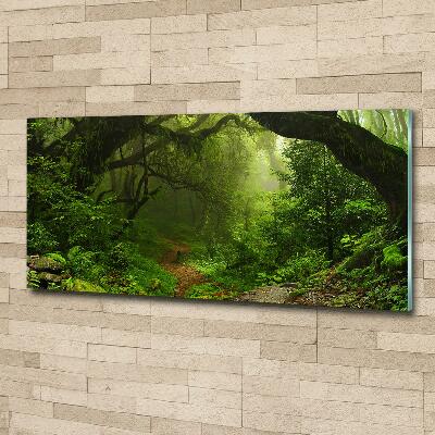 Foto glasbild Dschungel in Nepal