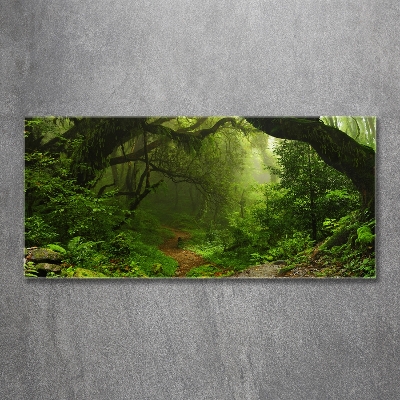 Foto glasbild Dschungel in Nepal