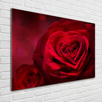 Foto glasbild Herz aus roter Rose
