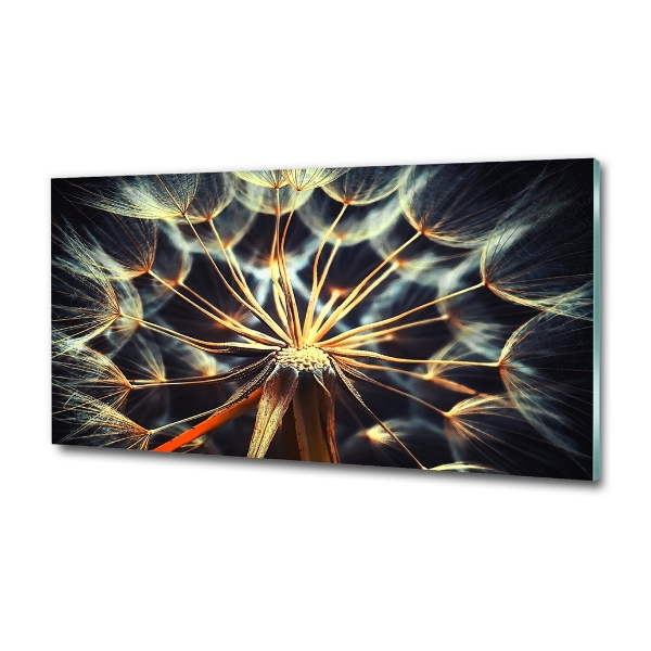 Bild auf glas Löwenzahn