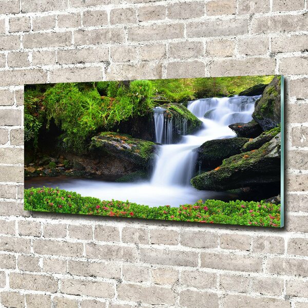Glasbild Wasserfall im Wald