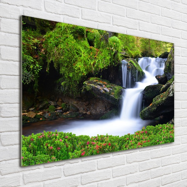 Glasbild Wasserfall im Wald