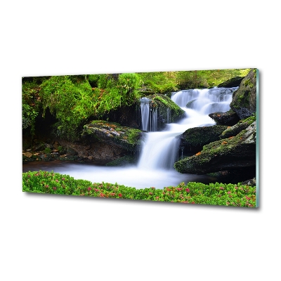 Glasbild Wasserfall im Wald