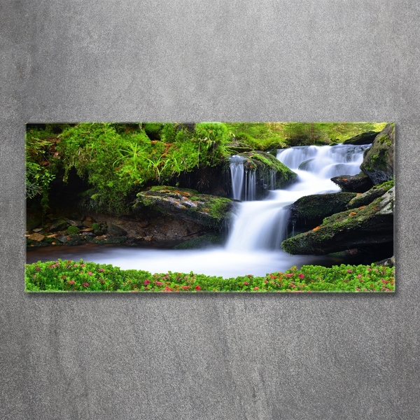 Glasbild Wasserfall im Wald