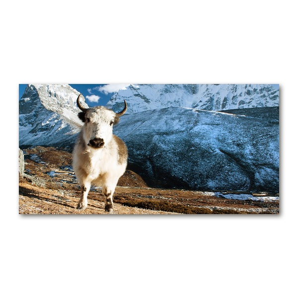 Foto glasbild Wie Berge