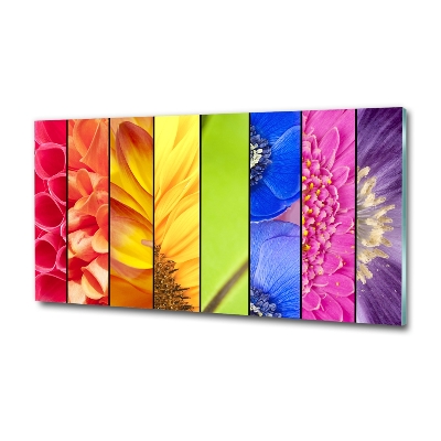 Bild auf glas Bunte Blumen