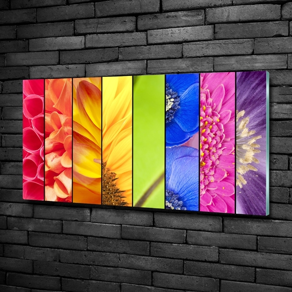 Bild auf glas Bunte Blumen