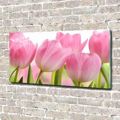 Foto glasbild Rosa Tulpen