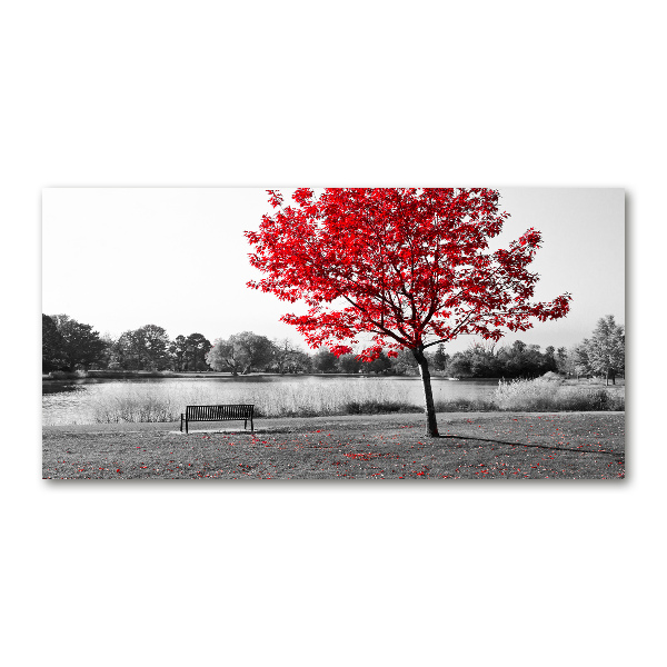 Bild auf glas Roter Baum