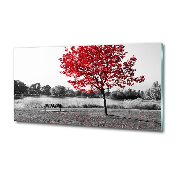 Bild auf glas Roter Baum