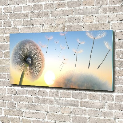 Bild auf glas Löwenzahn