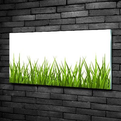 Bild auf glas Gras