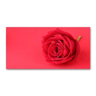 Glasbild Rote Rose