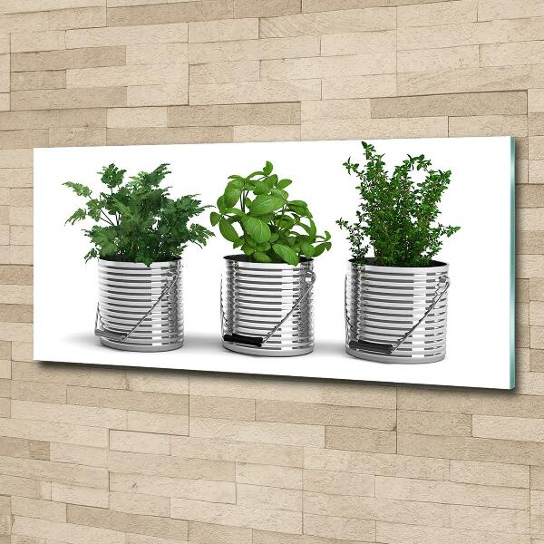 Glasbild Aromatische Pflanzen