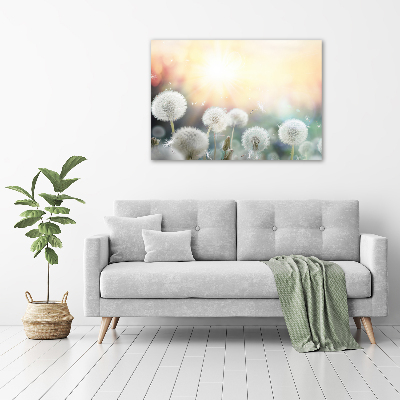 Glasbild Löwenzahnfeld