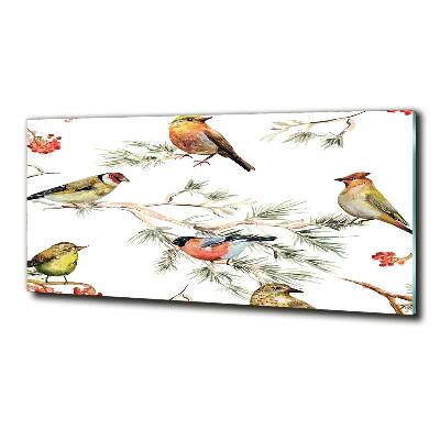 Bild auf glas Waldvögel Pflanzen