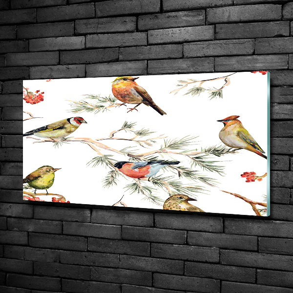 Bild auf glas Waldvögel Pflanzen