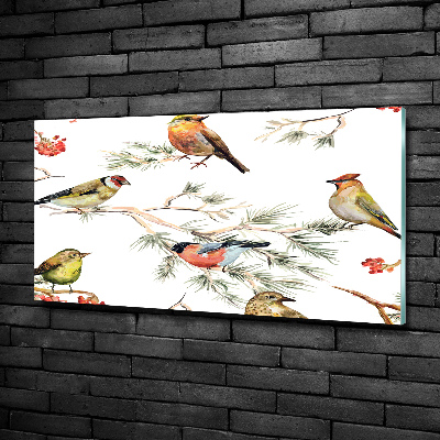 Bild auf glas Waldvögel Pflanzen