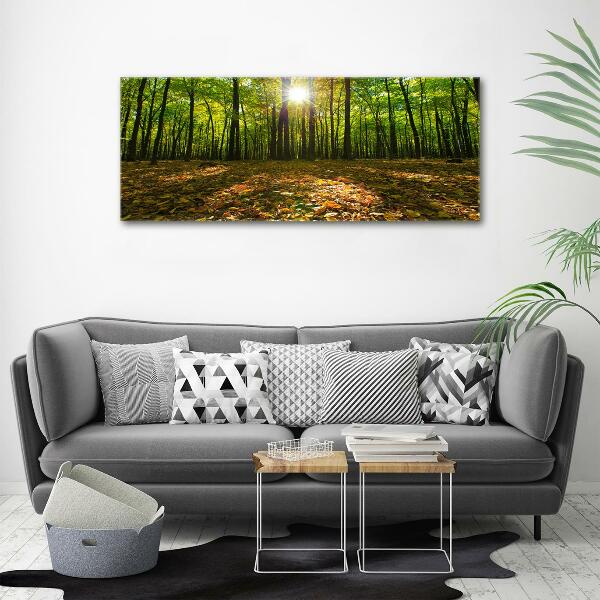 Bild auf glas Wald