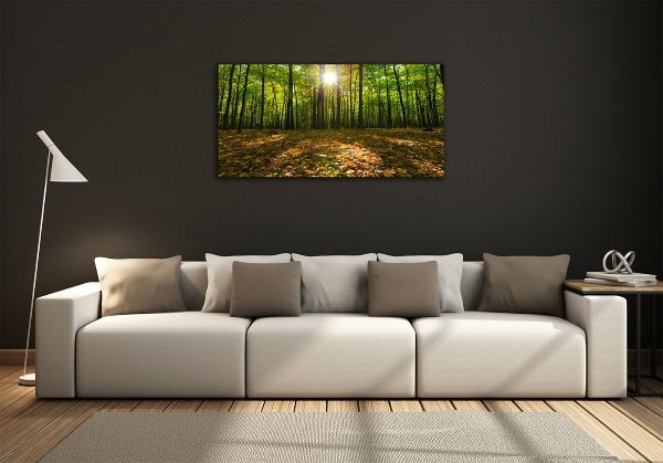 Bild auf glas Wald