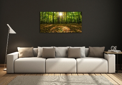 Bild auf glas Wald