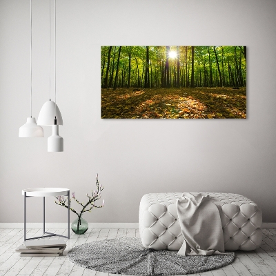 Bild auf glas Wald